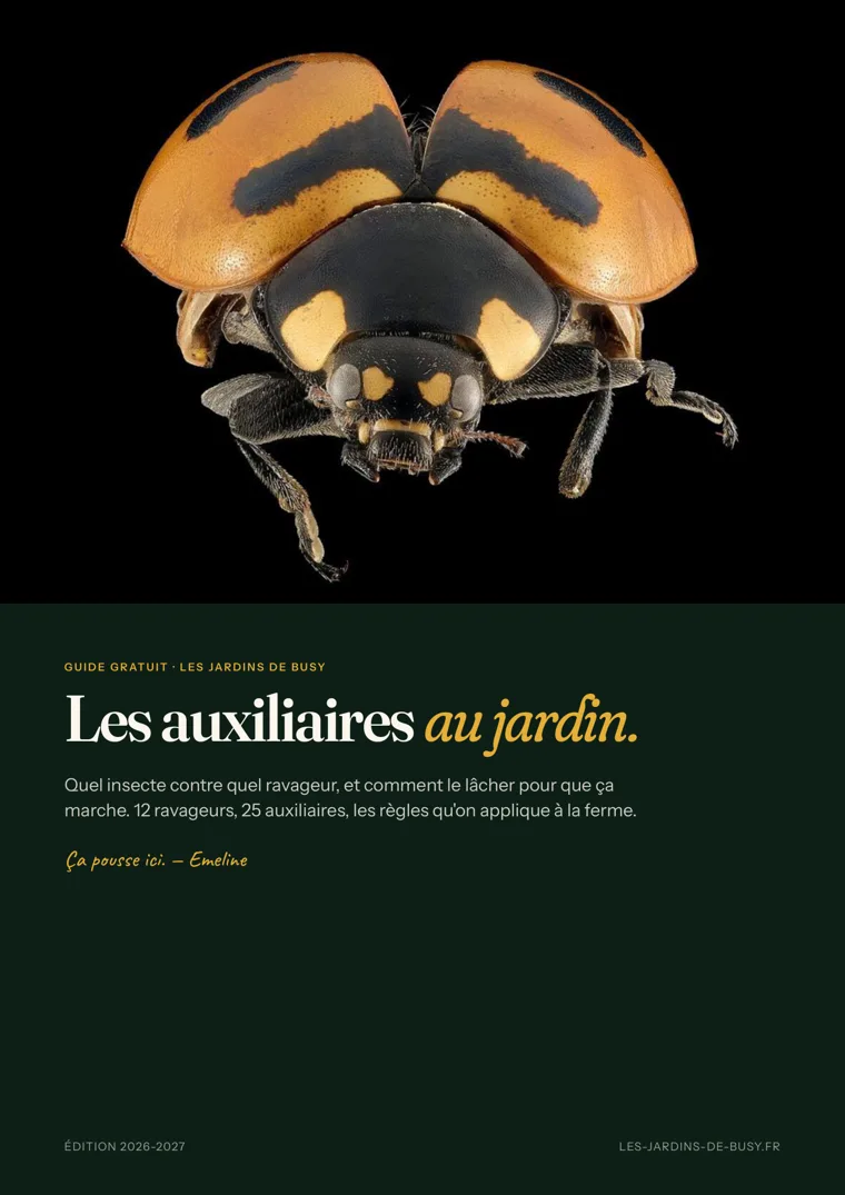 Couverture du guide Les auxiliaires au jardin
