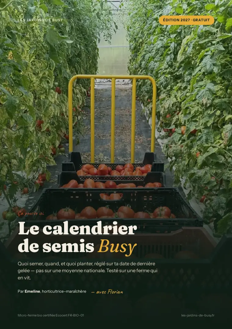 Couverture du calendrier de semis Busy, édition 2027